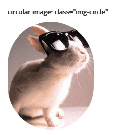 An image of a picture using the circle class