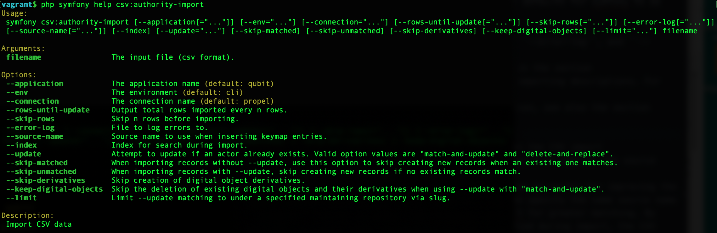 An image of the command-line options for authority record CSV imports
